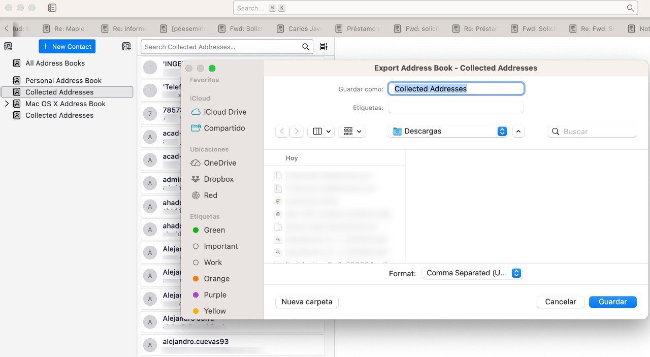 Diálogo de exportación con formato CSV seleccionado